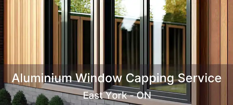  Aluminium Window Capping Service East York - ON