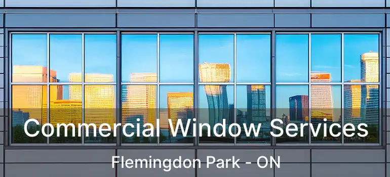  Commercial Window Services Flemingdon Park - ON