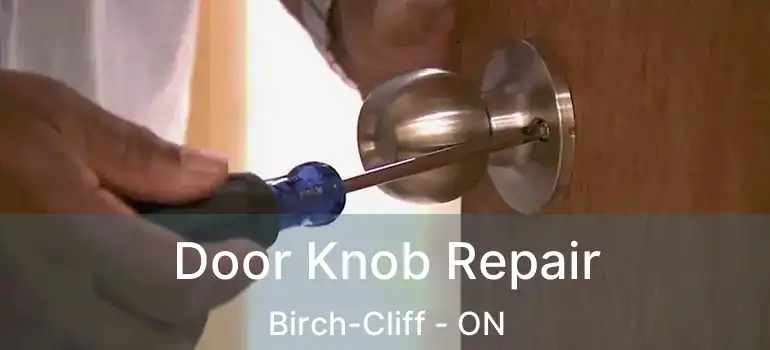  Door Knob Repair Birch-Cliff - ON