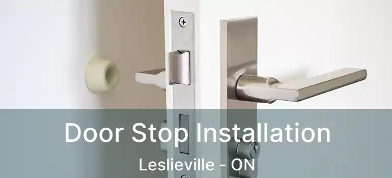  Door Stop Installation Leslieville - ON