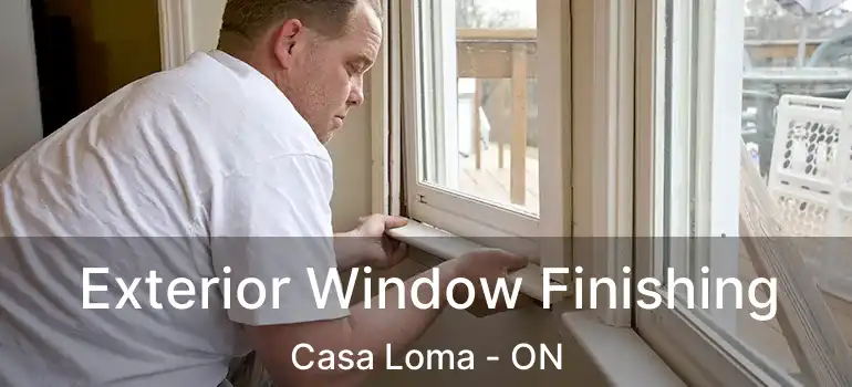  Exterior Window Finishing Casa Loma - ON