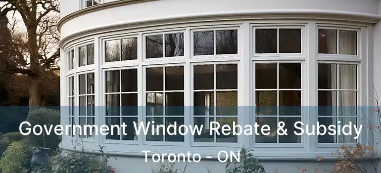  Government Window Rebate & Subsidy Toronto - ON