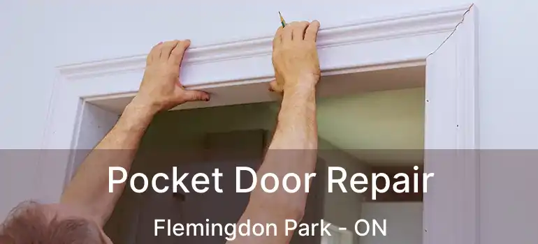 Pocket Door Repair Flemingdon Park - ON