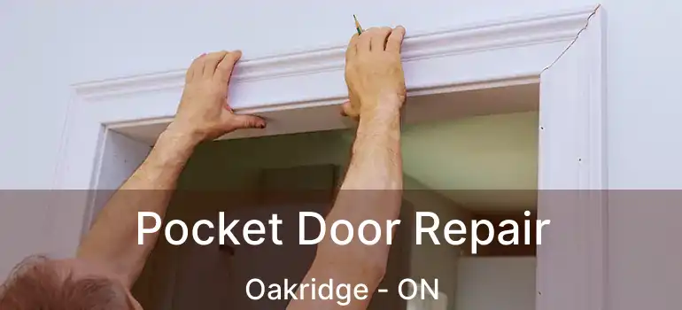  Pocket Door Repair Oakridge - ON