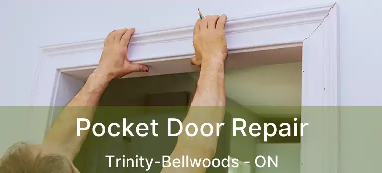  Pocket Door Repair Trinity-Bellwoods - ON