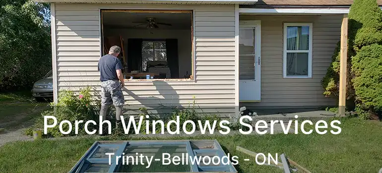  Porch Windows Services Trinity-Bellwoods - ON