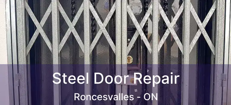  Steel Door Repair Roncesvalles - ON