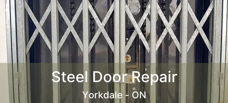  Steel Door Repair Yorkdale - ON