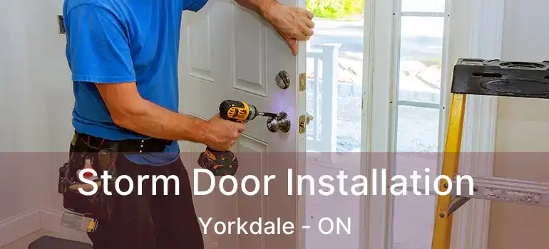  Storm Door Installation Yorkdale - ON