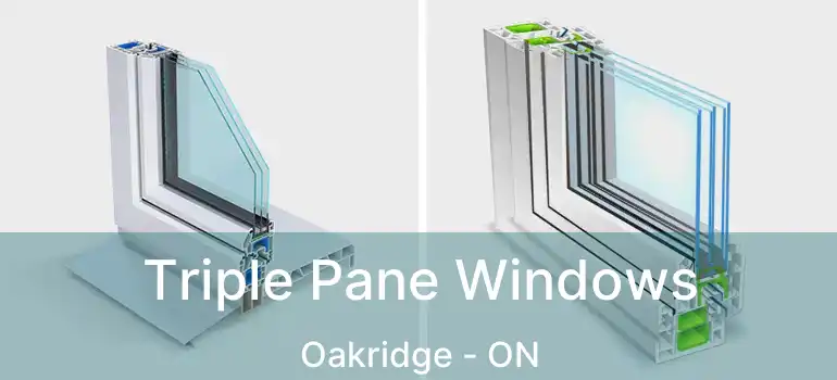  Triple Pane Windows Oakridge - ON