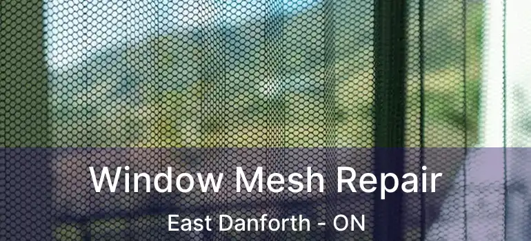  Window Mesh Repair East Danforth - ON