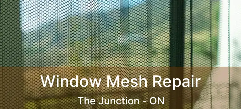  Window Mesh Repair The Junction - ON