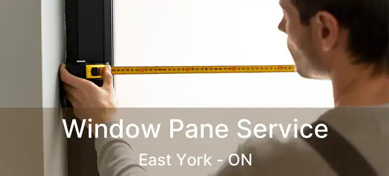  Window Pane Service East York - ON