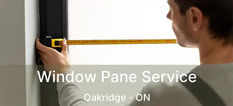  Window Pane Service Oakridge - ON