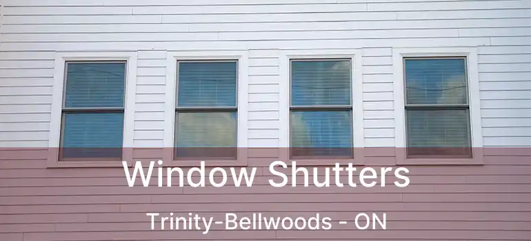  Window Shutters Trinity-Bellwoods - ON