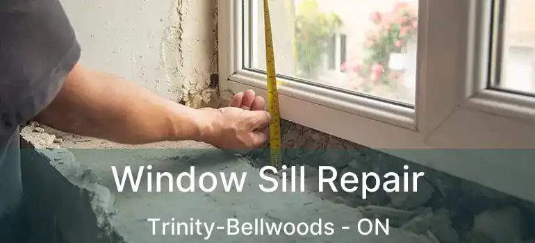 Window Sill Repair Trinity-Bellwoods - ON