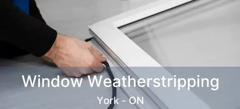  Window Weatherstripping York - ON