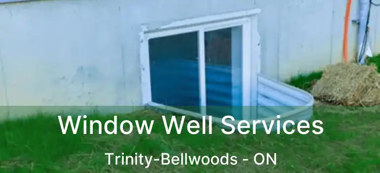  Window Well Services Trinity-Bellwoods - ON